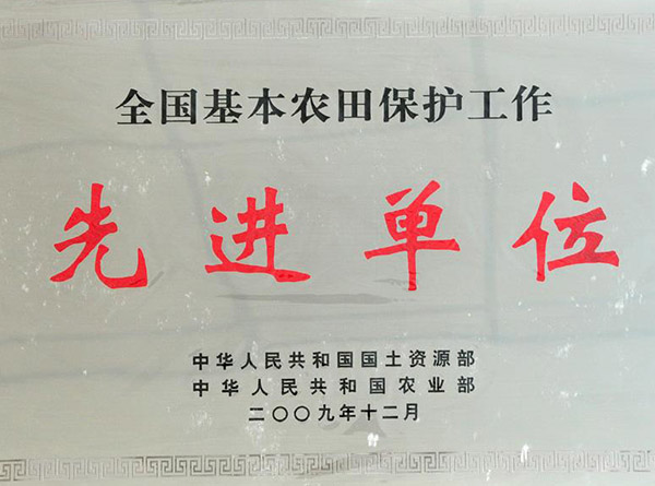 公司榮譽(yù)