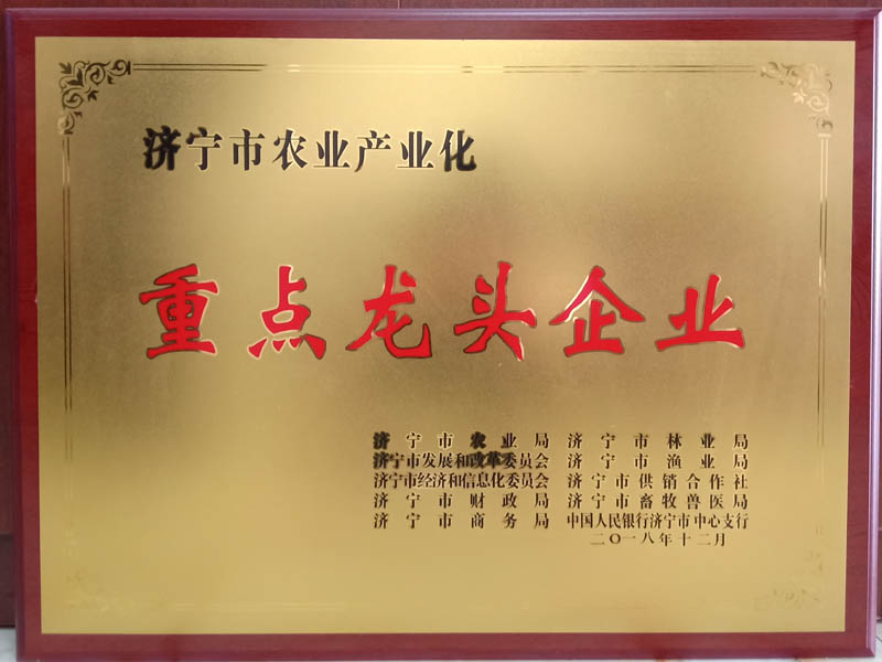 公司榮譽